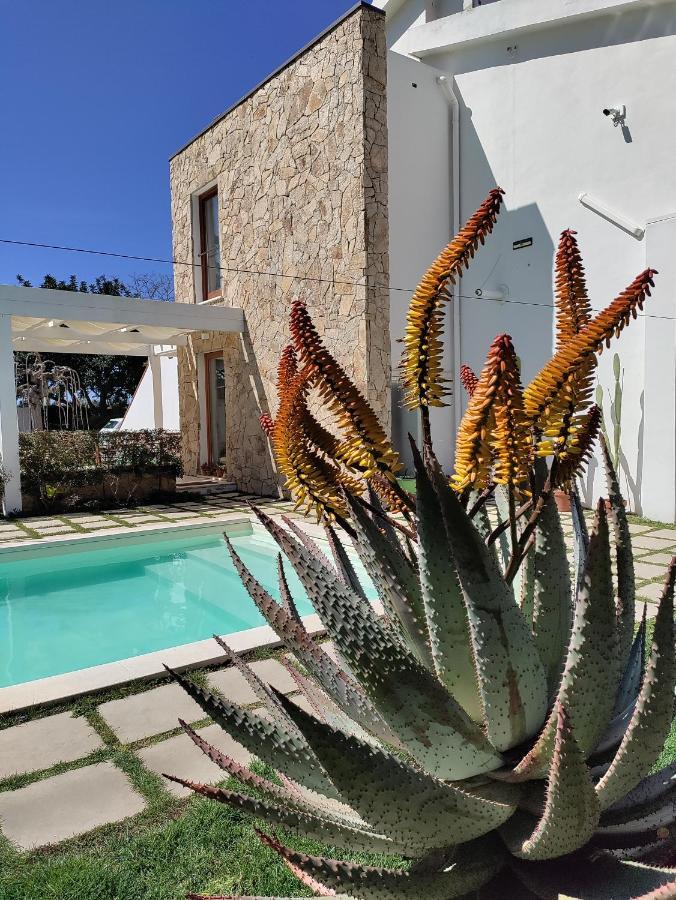 Casa Lucrezia Βίλα Villa Gorizia Εξωτερικό φωτογραφία